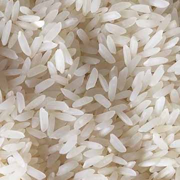 Sona Masoori Rice