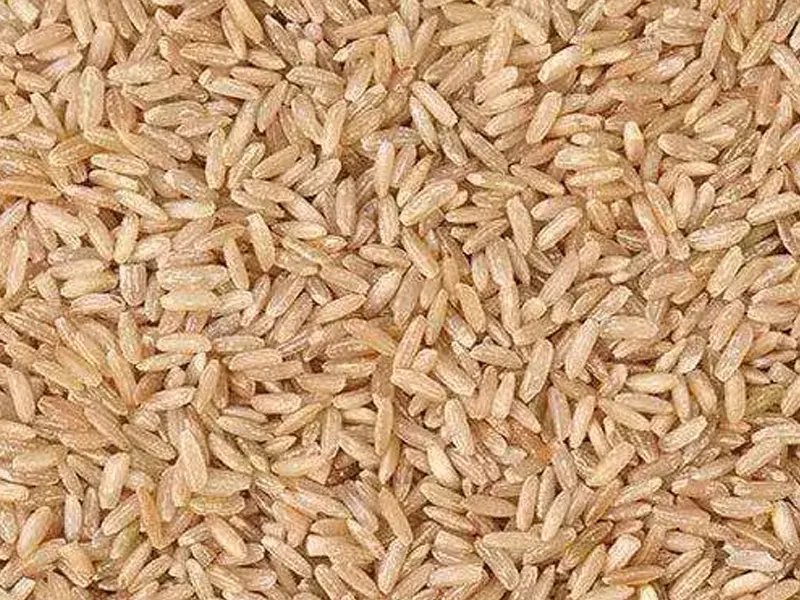 Basmati Rice | Rice - JBGreenGold Enterprises - Mylavaram, Andhra Pradesh