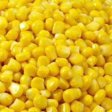 Frozen Sweet Corn