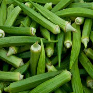 Okra (Ladyfinger)